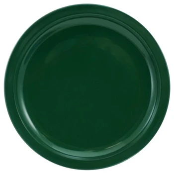 International Tableware Cancun 9 1/2" Green Stoneware Rolled Edge Narrow Rim Plate - 24/Case