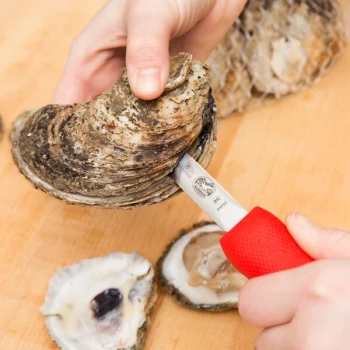 Victorinox 7.6399.2 2 3/4" Stainless Steel Providence Style Oyster Knife with Red SuperGrip Handle