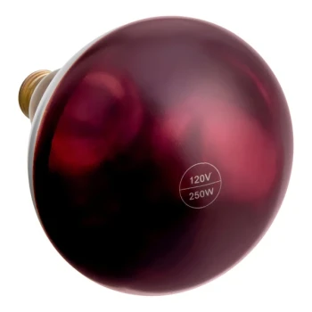 Lavex 250 Watt Red Coated Infrared Heat Lamp Light Bulb