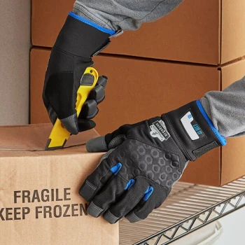 Ergodyne 17354 ProFlex 817 Thermal Work Gloves with Reinforced Palms - Large - Pair