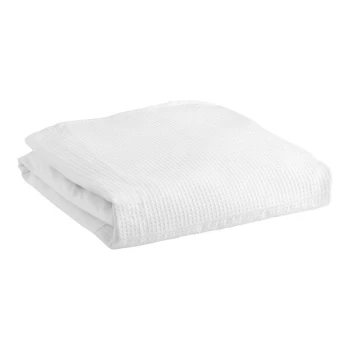 1888 Mills Adorn 80" x 39" Twin XL Size White 55% Cotton / 45% Polyester Bed Skirt - 6/Case