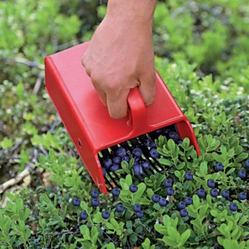Jonas™ of Sweden 38404 Adult Red Plastic Comb Berry Picker - 8 1/2" x 5 1/2"