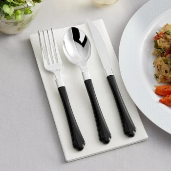 Visions Extra Heavy Weight Black Handled Plastic Basic Cutlery Set - 20/Case