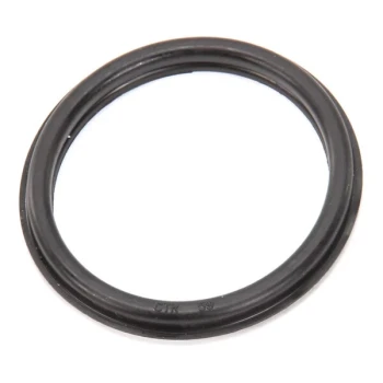 InSinkErator 5029 Gasket, Stopper