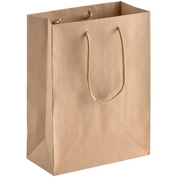 10" x 5" x 13" Brown Paper Bag with Rope Handles - 200/Case