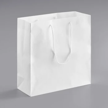 16" x 6" x 16" White Paper Bag with Rope Handles - 100/Case