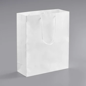16" x 6" x 19" White Paper Bag with Rope Handles - 100/Case