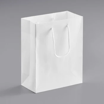 8" x 4" x 10" Customizable White Paper Bag with Rope Handles - 200/Case