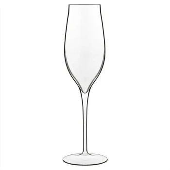 Luigi Bormioli Vinea from BauscherHepp 9.25 oz. Champagne Flute - 24/Case