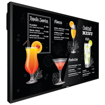 Philips P-Line BDL3017P 50" 4K UHD Digital Signage Display Television