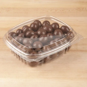 Genpak 8 oz. Clear Hinged Deli Container with High Dome Lid - 100/Pack