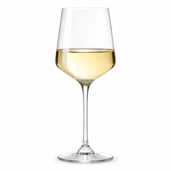 Leonardo Puccini White wine 560ml