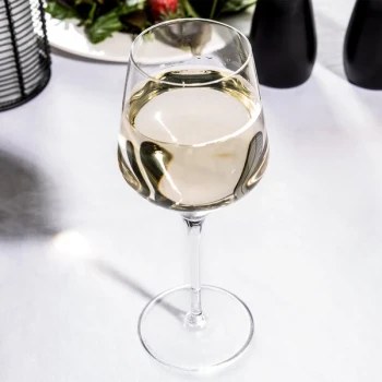 Reserve by Libbey Prism 13 oz. Wine Glass - Sample