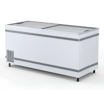Turbo Air, Ice Cream Deep Freezer, 2 Sliding Doors, 718L