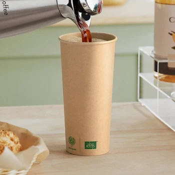 New Roots 24 oz. Smooth Single Wall Kraft Compostable Paper Hot Cup - 500/Case