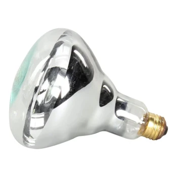 APW Wyott 2E-75410 Lamp, 250W, Philips #250Br40/1