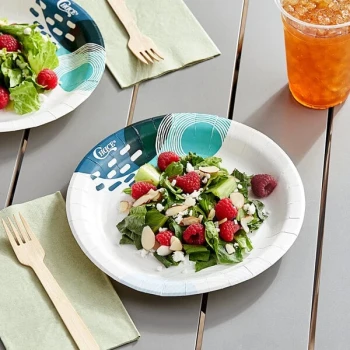 Choice 8 1/2" Lifestyle Series Light Weight Paper Plate - 500/Case