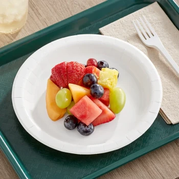 Choice 8 1/2" White Light Weight Paper Plate - 500/Case