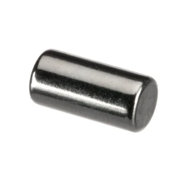 Berkel 00-917185 Magnet