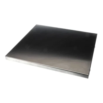 Frymaster 1063966SP Door