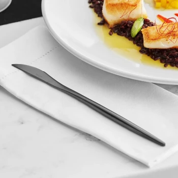 Acopa Odin Black 8 7/8" 18/8 Brushed Stainless Steel Extra Heavy Weight Forged Dinner Knife - 12/Case