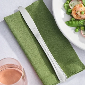 Libbey Brandware 130 5262 Harbour 8 7/8" 18/0 Stainless Steel Heavy Weight Dinner Knife - 12/Case