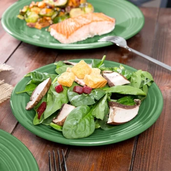 Fiesta® Dinnerware from Steelite International HL465344 Meadow 9" China Luncheon Plate - 12/Case