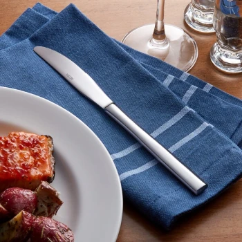 Acopa Phoenix 9 5/16" Stainless Steel Forged Dinner Knife - 12/Pack