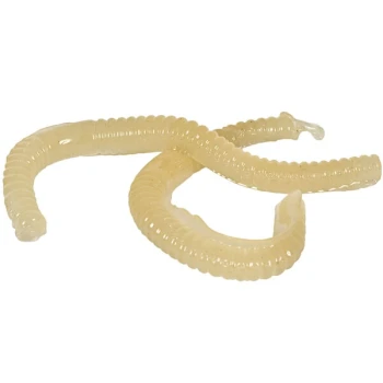 Victor® Pest M6009 Poison Moleworms Kit - 10/Pack