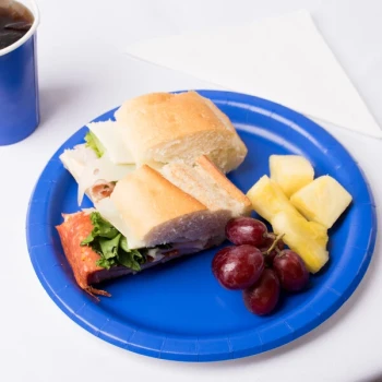 Creative Converting 473147B 9" Cobalt Blue Round Paper Plate - 24/Pack
