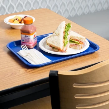Choice 10" x 14" Blue Plastic Fast Food Tray - 48/Case