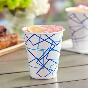 Choice 12 oz. Poly Paper Cold Cup - 2,000/Case