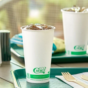 EcoChoice 16 oz. Compostable PLA Paper Cold Cup - 1,000/Case