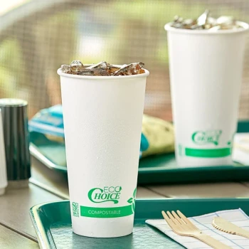 EcoChoice 20 oz. Compostable PLA Paper Cold Cup - 50/Pack