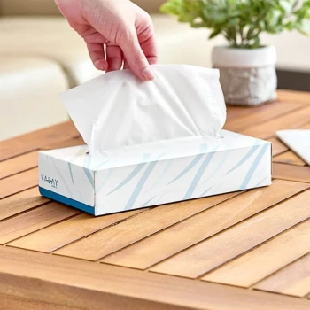Morcon Valay 100 Sheet 2-Ply Flat Facial Tissue Box - 30/Case