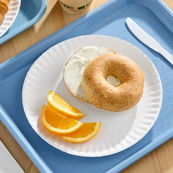 Choice 9" White Uncoated Paper Plate - 1,000/Case