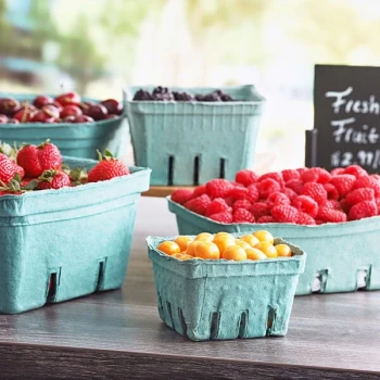 1 Pint Green Molded Pulp Berry / Produce Basket - 500/Case