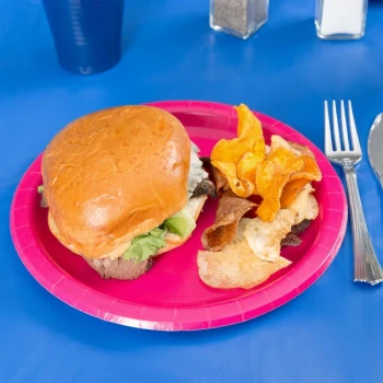 Creative Converting 47177B 9" Hot Magenta Pink Paper Plate - 24/Pack