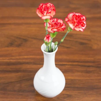CAC GAD-BV Garden State 1 1/2" x 5 1/2" Bone White Porcelain Bud Vase - 48/Case