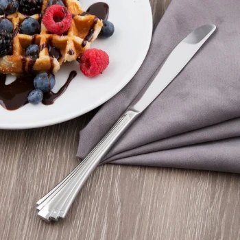 Libbey 213 5502 Baguette 9 3/4" 18/0 Stainless Steel Heavy Weight Fluted Solid Handle Dinner Knife - 36/Case