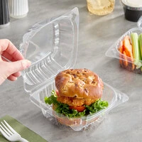 Clear Hinged Take-Out Containers