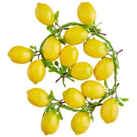 Fake Food Props