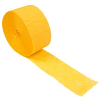 Disposable Party Supplies