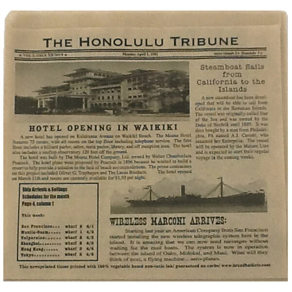GET Enterprises 4-T6000 7" x 7" Hawaiian Newsprint Double-Open Bag - 2,000/Case