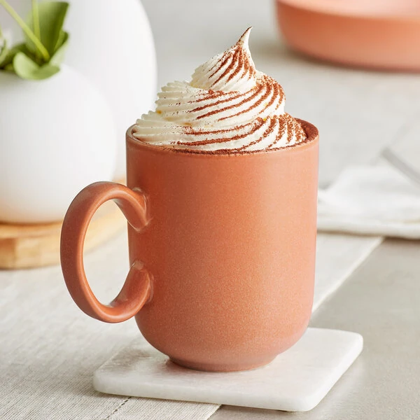 Acopa Pangea 12 oz. Terra Cotta Matte Porcelain Mug - Sample