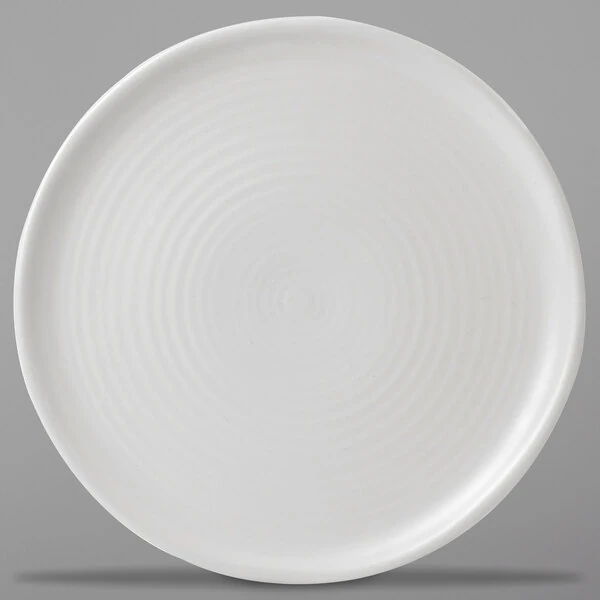 Dudson EP254 Evo 10" Matte Pearl Flat Round Stoneware Plate by Arc Cardinal - 12/Case