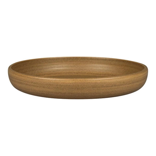 RAK Porcelain Rakstone Selva 10 3/16" Autumn Brown Porcelain Deep Plate - 2/Case