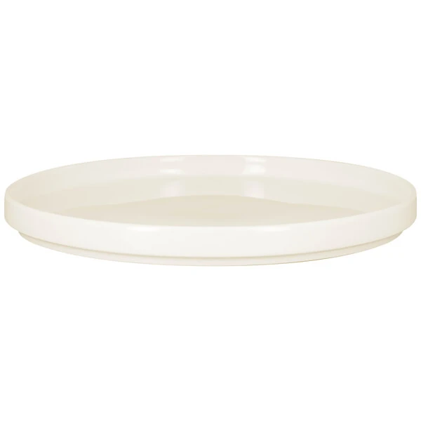 Dinner Plates