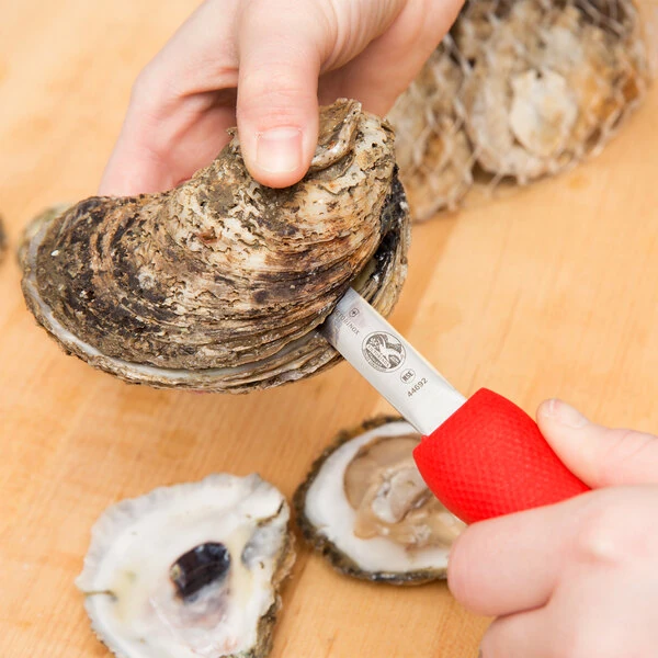 Victorinox 7.6399.2 2 3/4" Stainless Steel Providence Style Oyster Knife with Red SuperGrip Handle