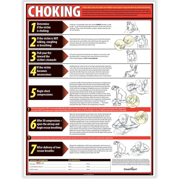 ComplyRight Choking Poster In English